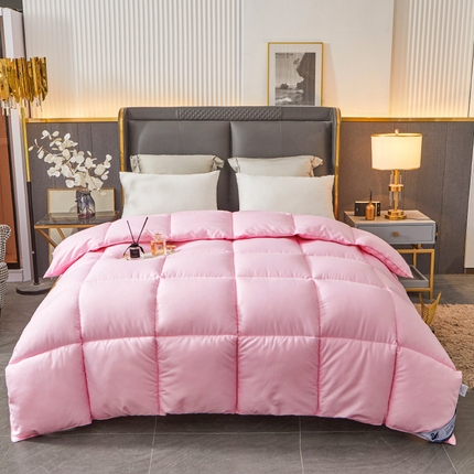 Hotel Winter Consulter Premium toda la temporada