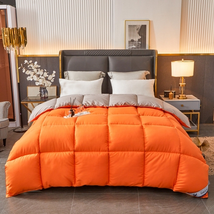 Hotel Winter Consulter Premium toda la temporada