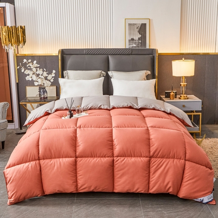 Hotel Winter Consulter Premium toda la temporada