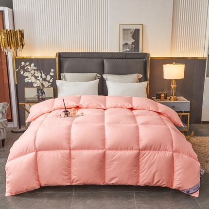 Hotel Winter Consulter Premium toda la temporada