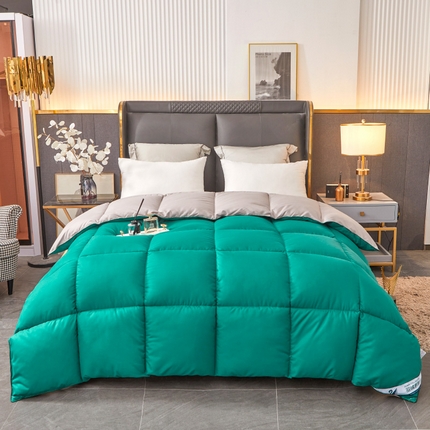 Hotel Winter Consulter Premium toda la temporada