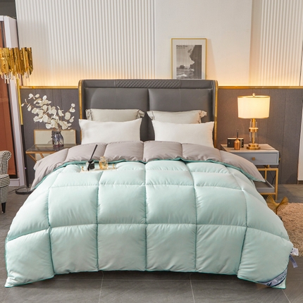 Hotel Winter Consulter Premium toda la temporada