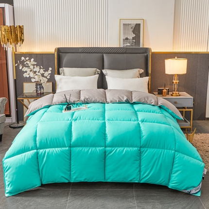 Hotel Winter Consulter Premium toda la temporada