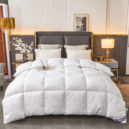 Hotel Winter Consulter Premium toda la temporada