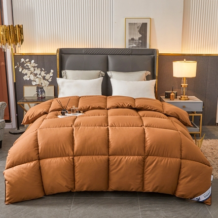 Hotel Winter Consulter Premium toda la temporada